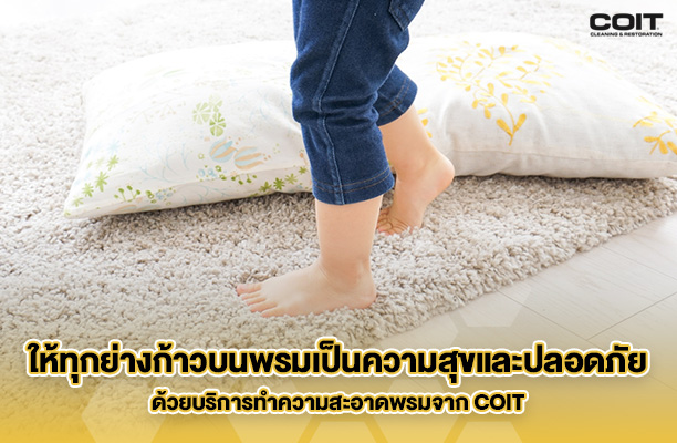 จากความทรงจำถึงความสะอาด ทำไมบริการมืออาชีพถึงสร้างความสบายใจมากกว่าที่คุณคิด