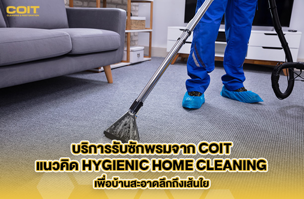 สุขอนามัยบ้านยุคใหม่เริ่มที่พื้น COITบริการรับซักพรมเพื่อบ้านสะอาดลึกถึงเส้นใย