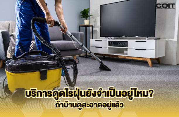 บริการดูดไรฝุ่นจำเป็นไหม ถ้าบ้านดูสะอาดอยู่แล้ว