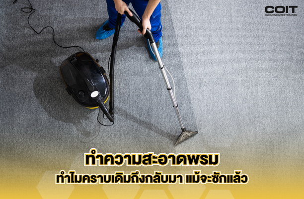 ทำความสะอาดพรม ทำไมคราบเดิมถึงกลับมา แม้จะซักแล้ว